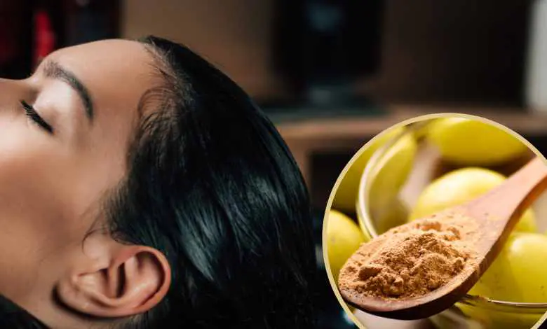 Ayurvedic Hair Care Routine Therapy
