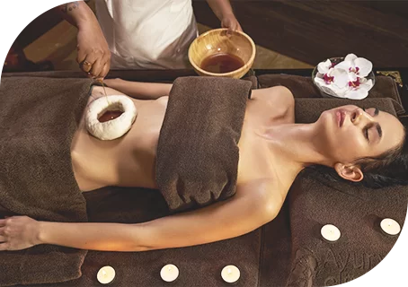 Affiliates 2 ayurveda detox hero